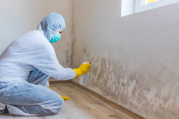 Mold Remediation specialist working in Marne
